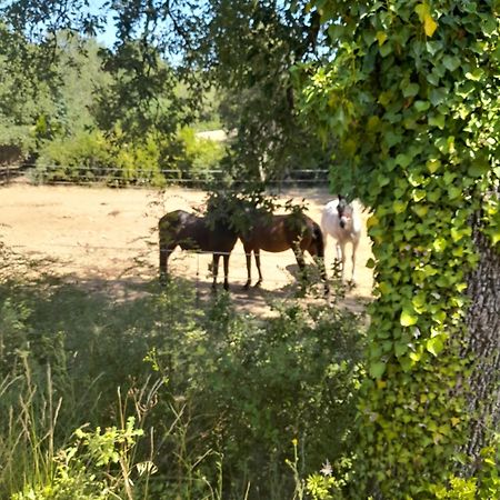 L Etrier Villa Lorgues Kültér fotó